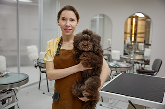 Groomer Image