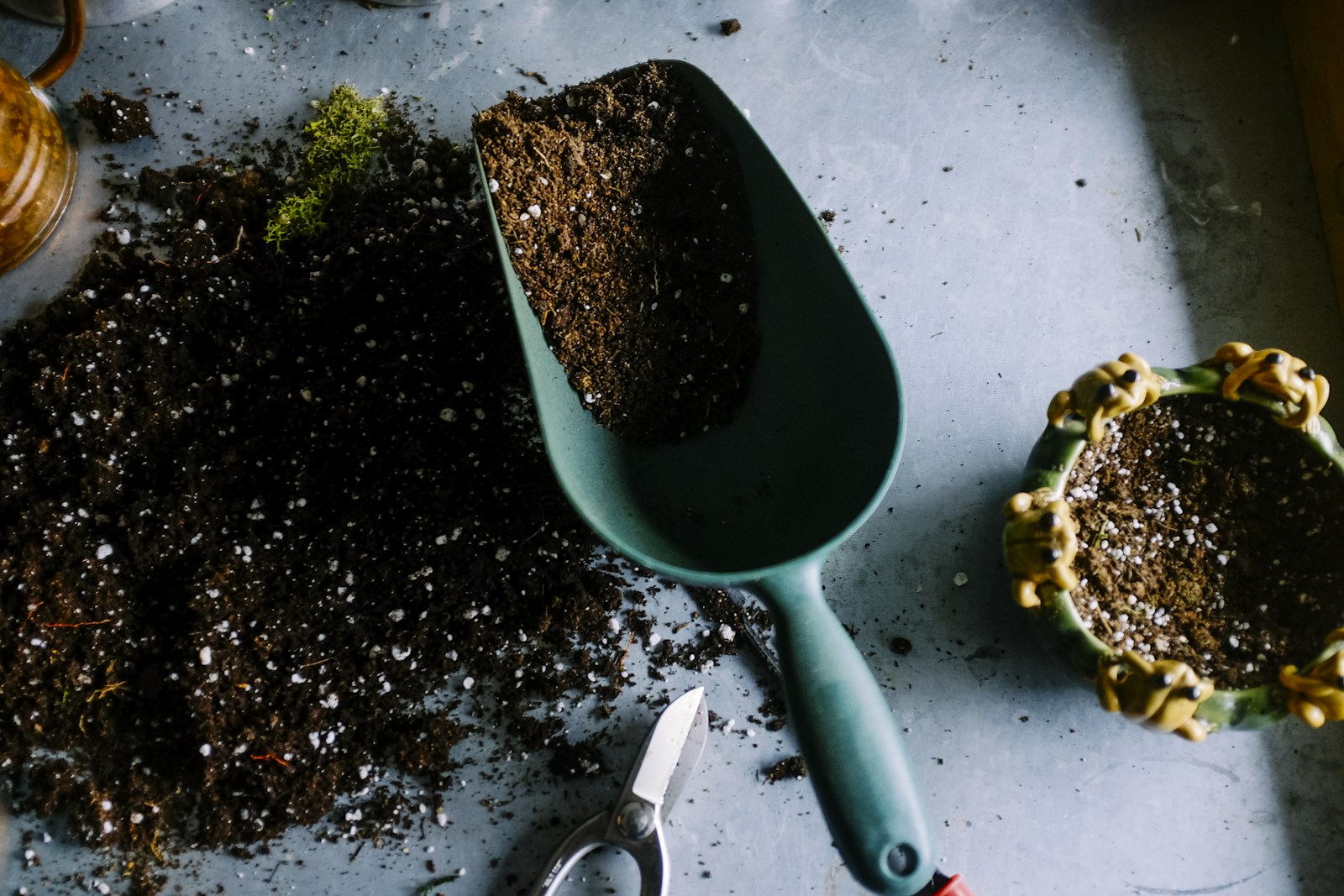 Gartenpflege und Grünanlagenpflege